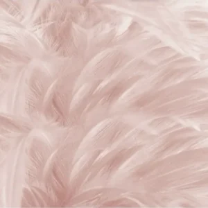Abstract Feather Wall Mural